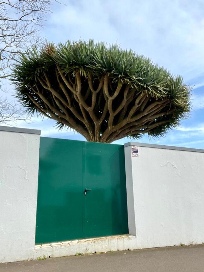 Casa As Sete Villa Angra do Heroismo Luaran gambar